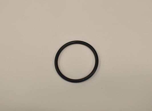 O-RING 700013040